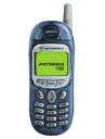 Best available price of Motorola T190 in Denmark