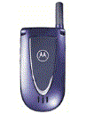 Best available price of Motorola V66i in Denmark